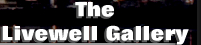 The Livewell Gallery